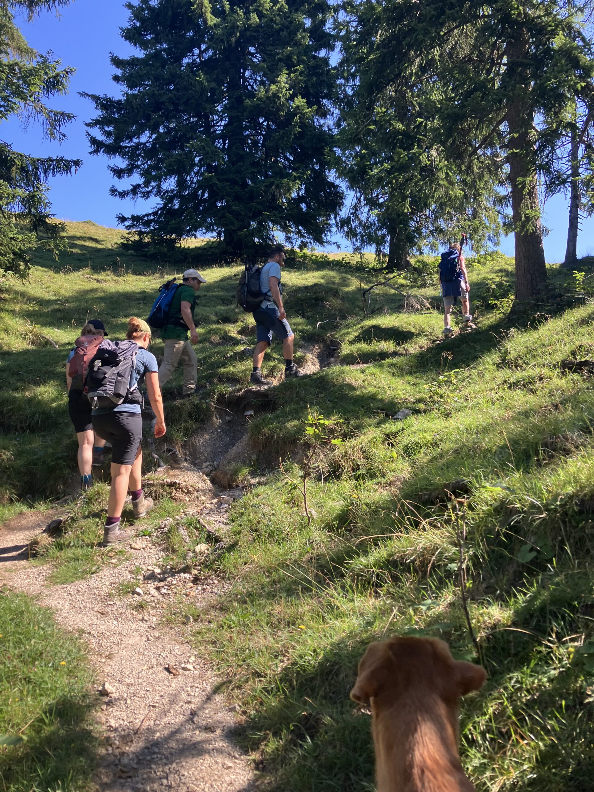Aufstieg2 hoch