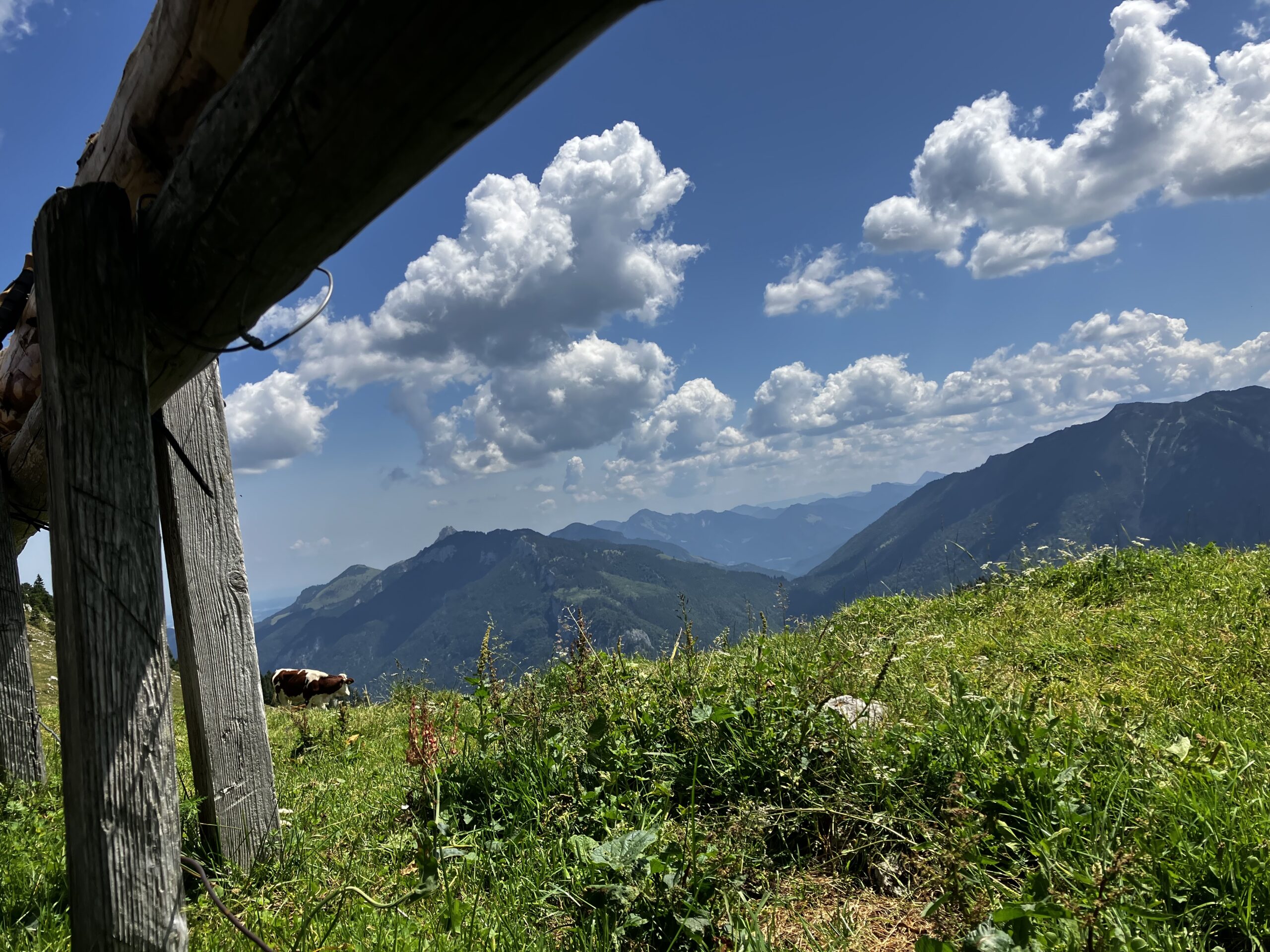 Panorama quer