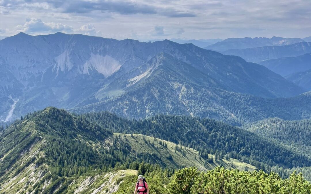 Über die Sandbichleralm zur Auerspitz