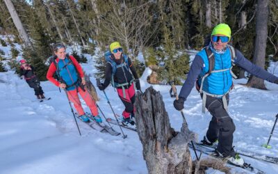 Auf schönen Wegen hoch zum Arbergipfel